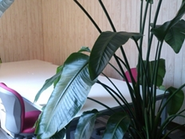 リフレッシュルームは休憩時などに活用できます。