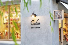 積極採用！Calon店舗運営マネージャー候補募集