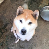 赤井  和永