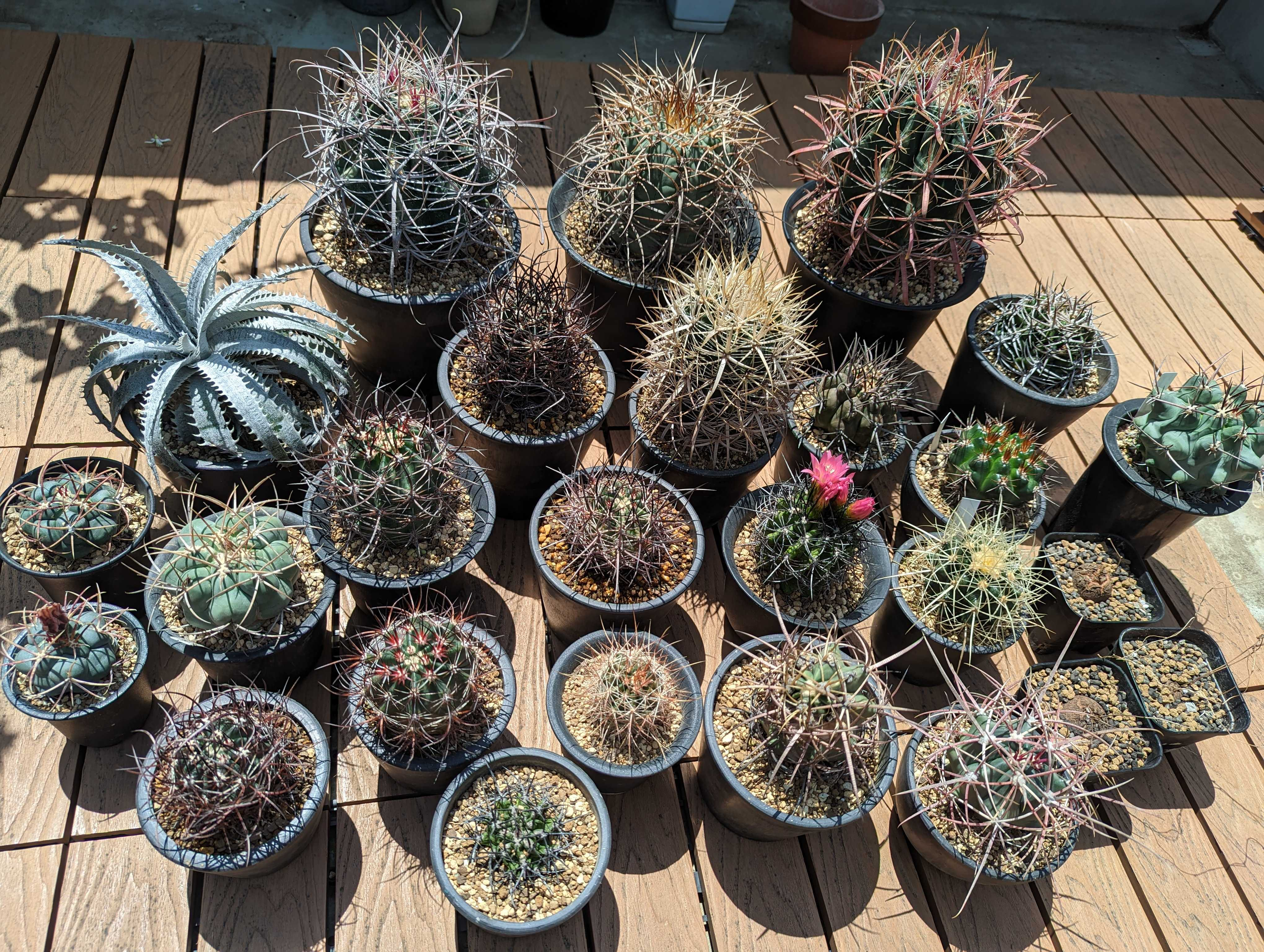 フロントエンドエンジニアからUI・UXを大事にするPdMへ転向しました