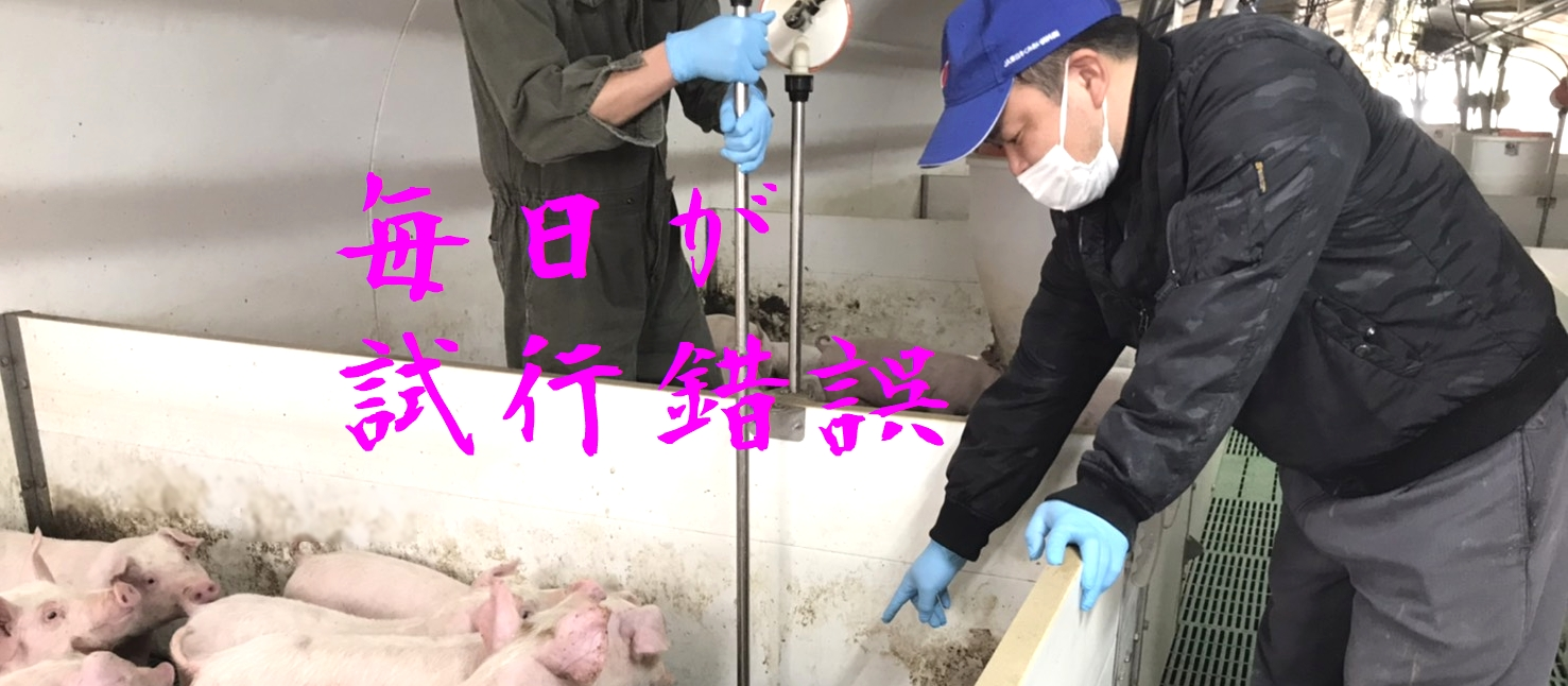 ＜vol.10＞やってみてダメでも挑戦した意味はある