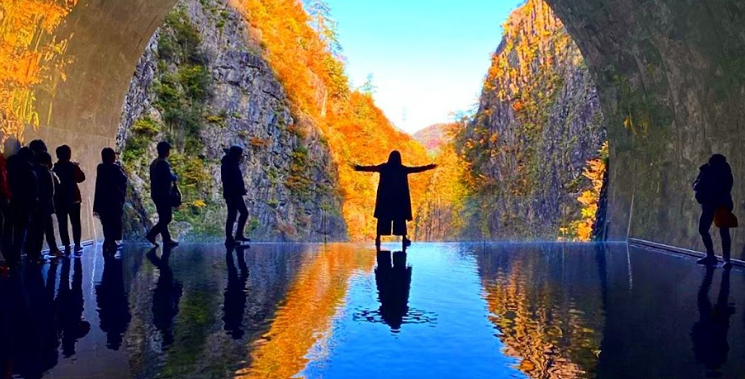 【インタビュー】グループ海外管理業務とは？部長に直撃！