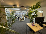 メインのオフィスフロアには観葉植物たちが元気に育っています。観葉植物が元気なのはオフィスに活気がある証拠！疲れにくいオフィスチェアや広々デスク。疲労軽減効果もある照明、空が見えるオフィス。癒しの観葉植物。