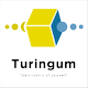 Turingumの会社情報