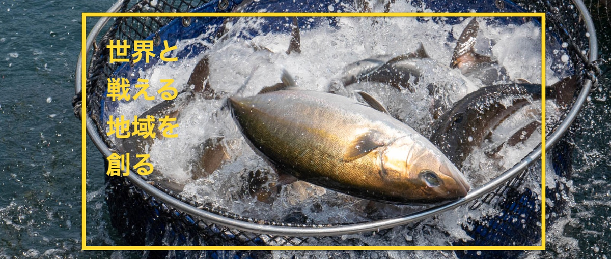 高知かわうそ市場、自社ECサイトをグロースさせる責任者候補を募集！