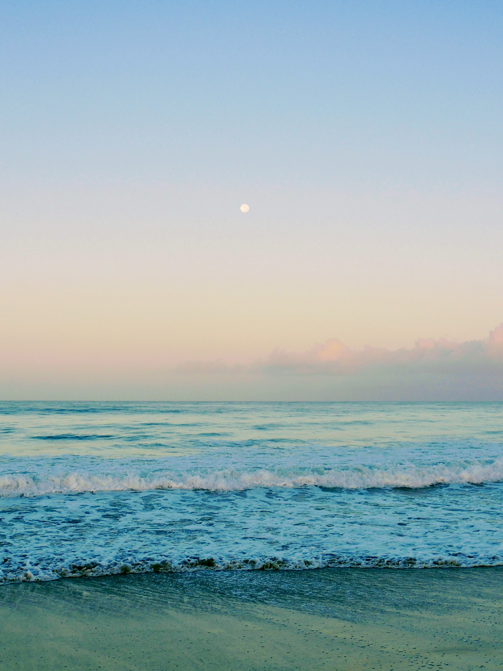 【佐藤司】消防士からWeb制作会社起業までの道のり