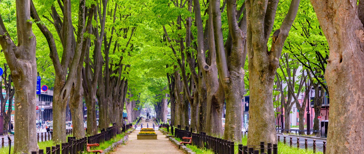 採用×広報で、宮城の地域事業の魅力を伝える！採用広報wanted