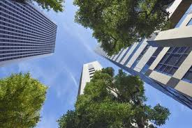 ワークライフバランス重視！平均有給使用率12日、残業11.1時間の働きやすい環境