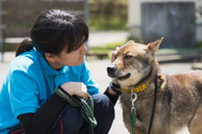 保護犬と一緒に