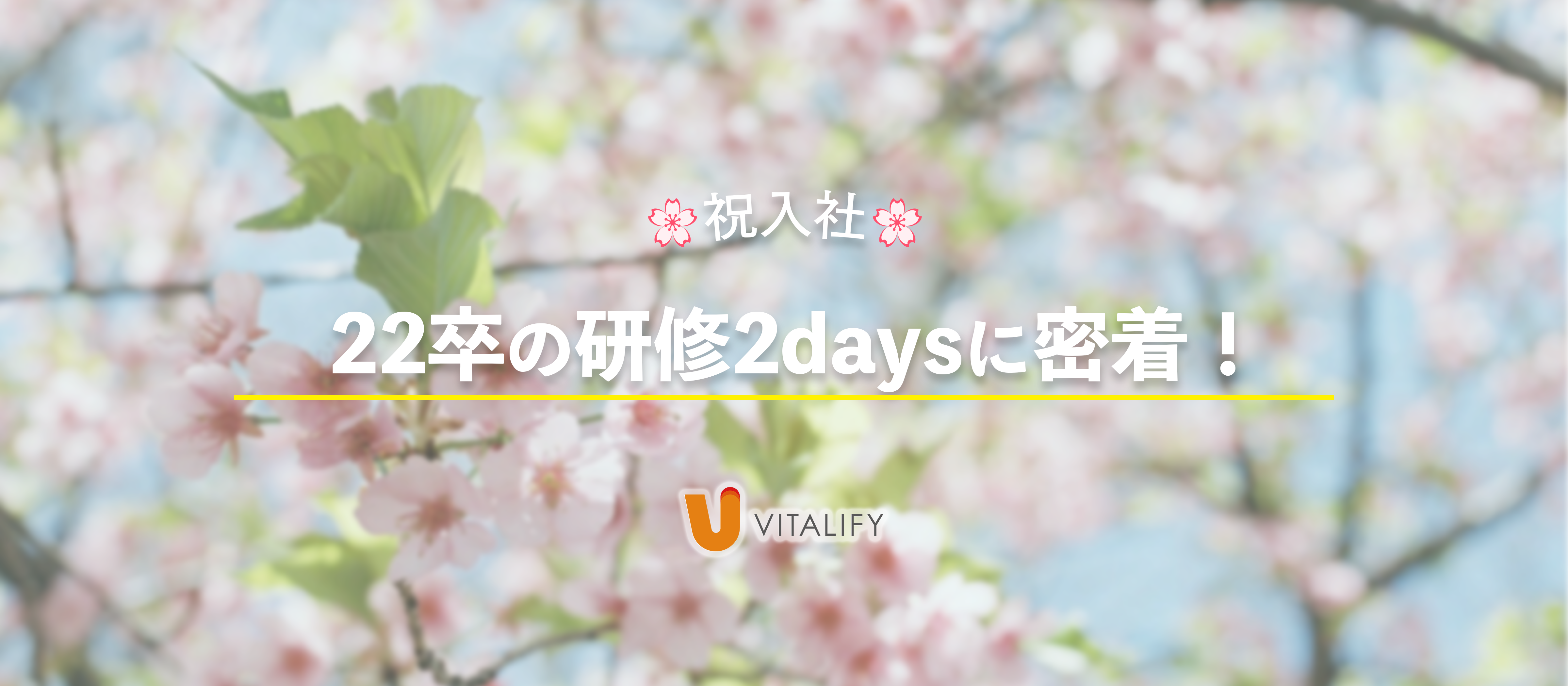 🌸祝入社🌸 22卒の研修2daysに密着！