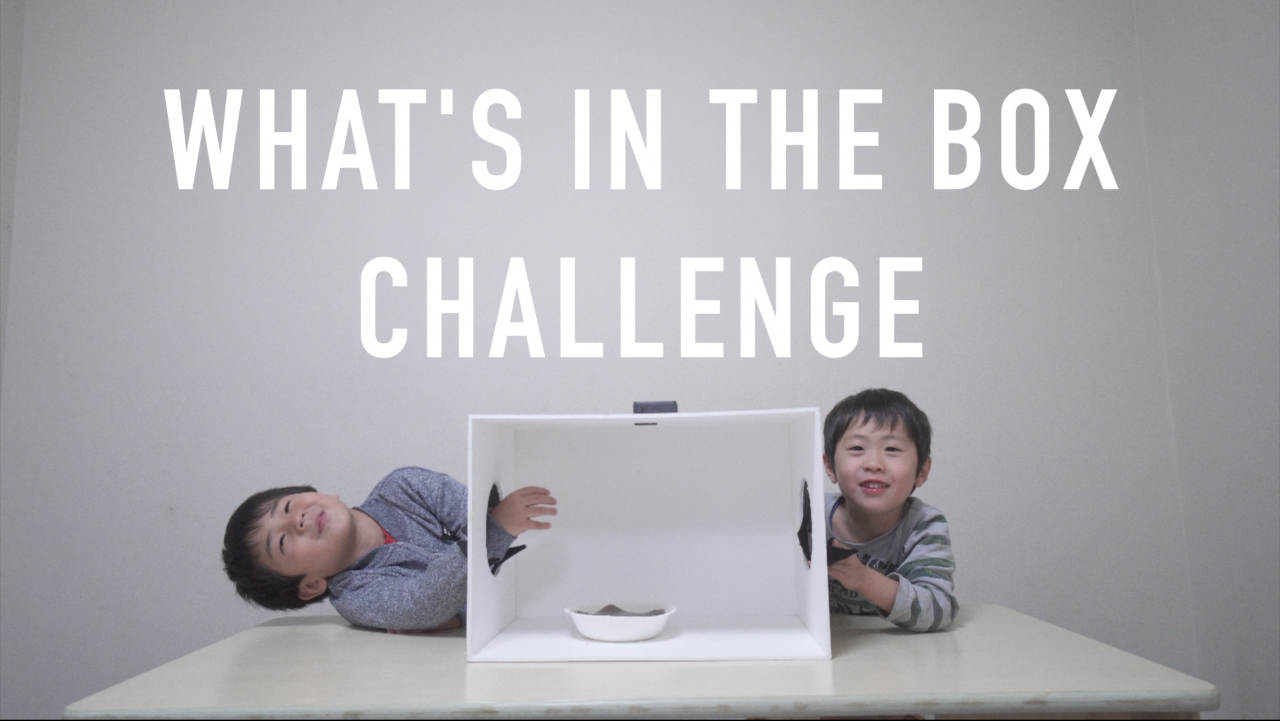 【おもしろ＊かわいい】日本の子供が英語でブラックボックスに挑戦したらかわいすぎた。