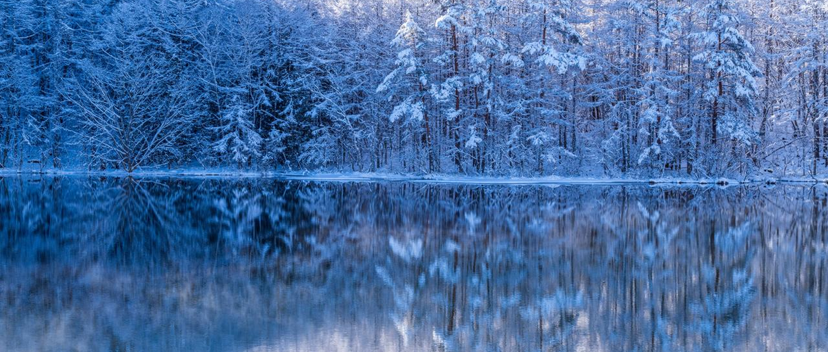 カメラマン｜出張撮影｜日本文化を味わえる感動体験を写真を通して世界へ発信