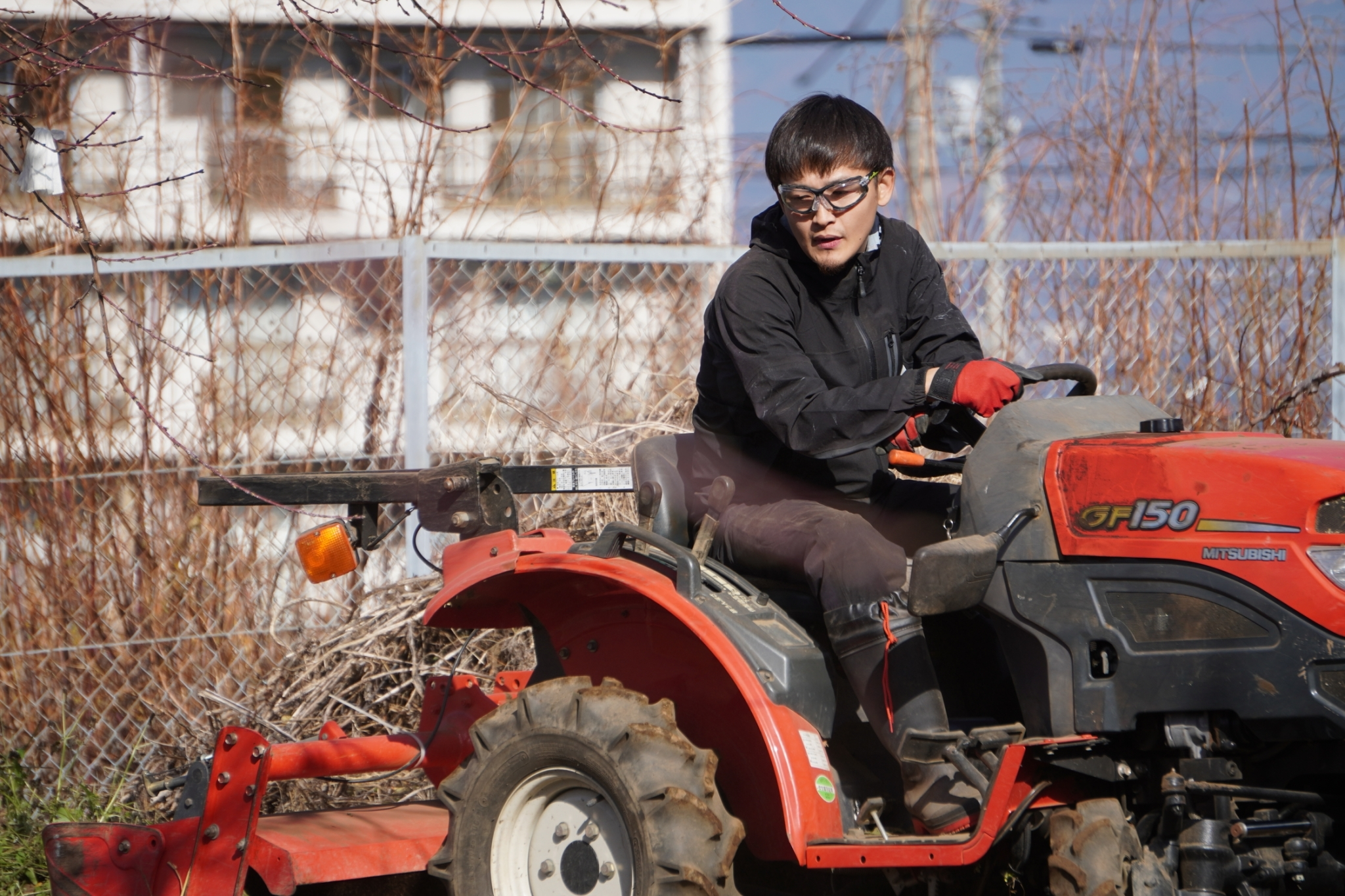 桃栽培プロジェクト - 11月 - 草刈り・肥料まき