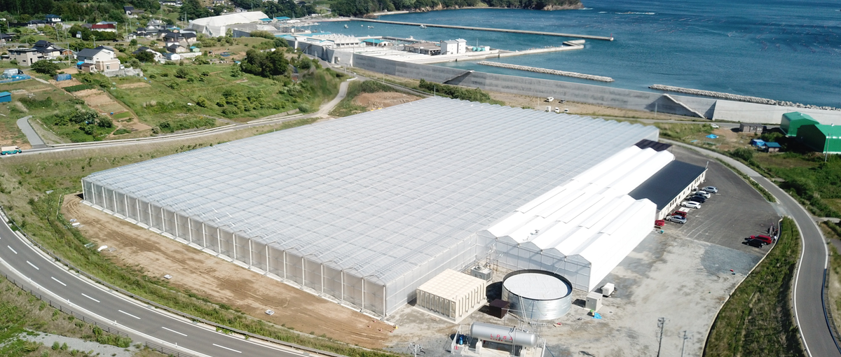 岩手｜未来の食を創る！最先端グリーンハウスで働く新しい仲間を募集！