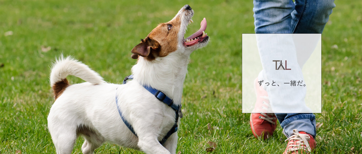 オープンポジション / とりあえずTYLが気になる方！まずはお話から