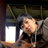 奥村 優太