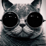 Mai Phương Nguyễn