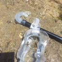 マツバヤシ ロト