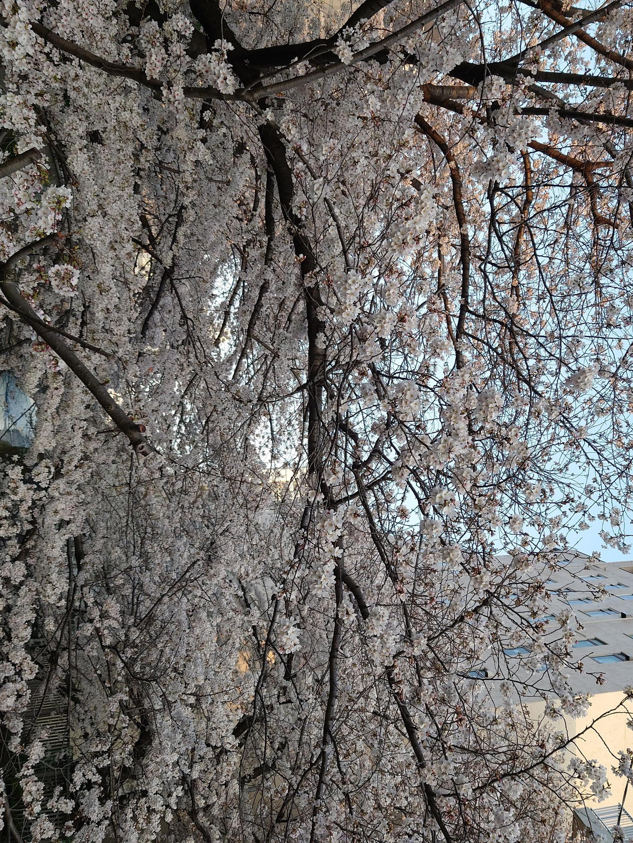 今、お忙しいですか？