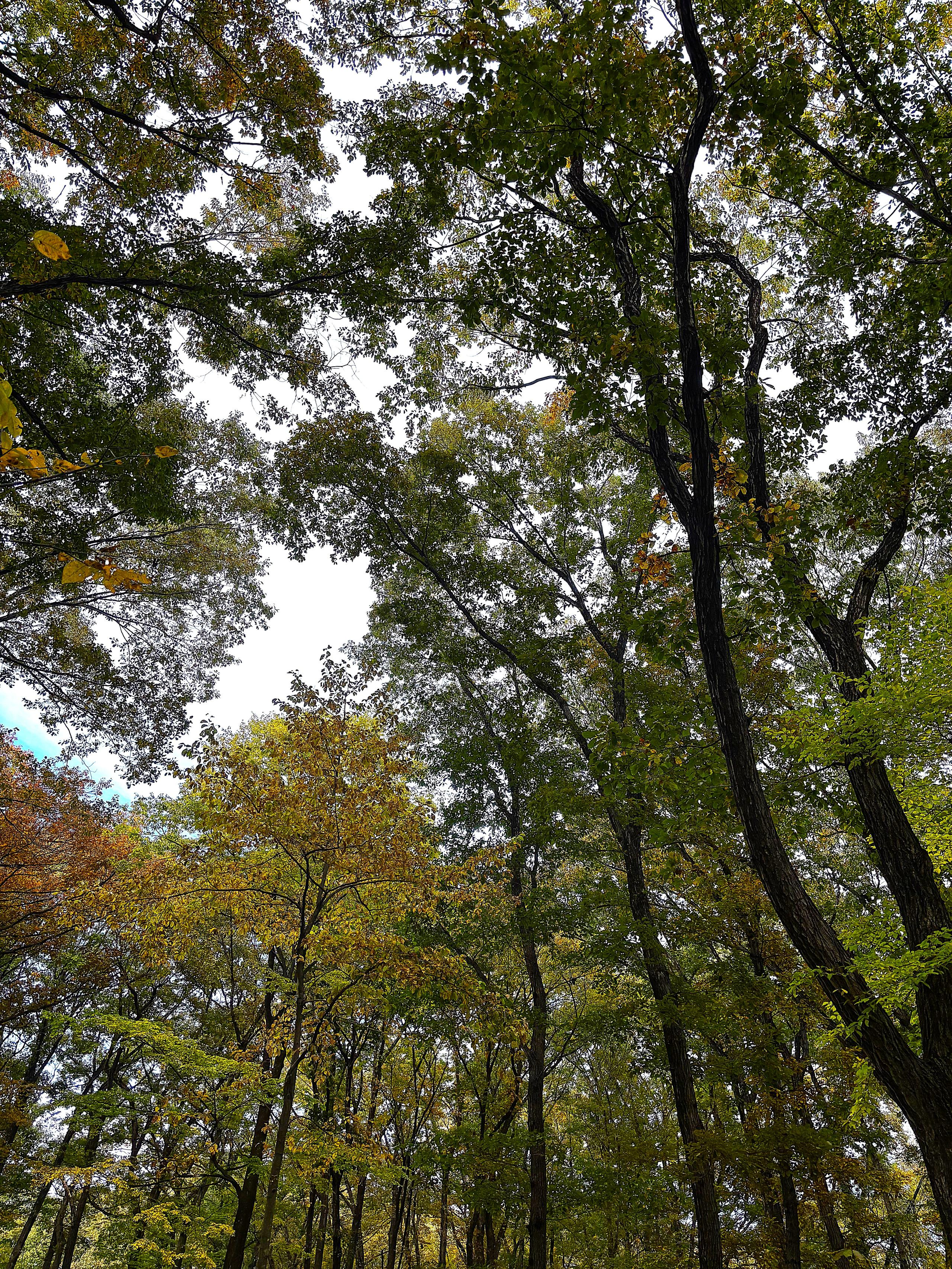 「おでかけ手当で叶えた“手ぶらキャンプ”自然の中でリフレッシュしてきました！」