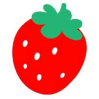 矢口 美弥さんのプロフィール