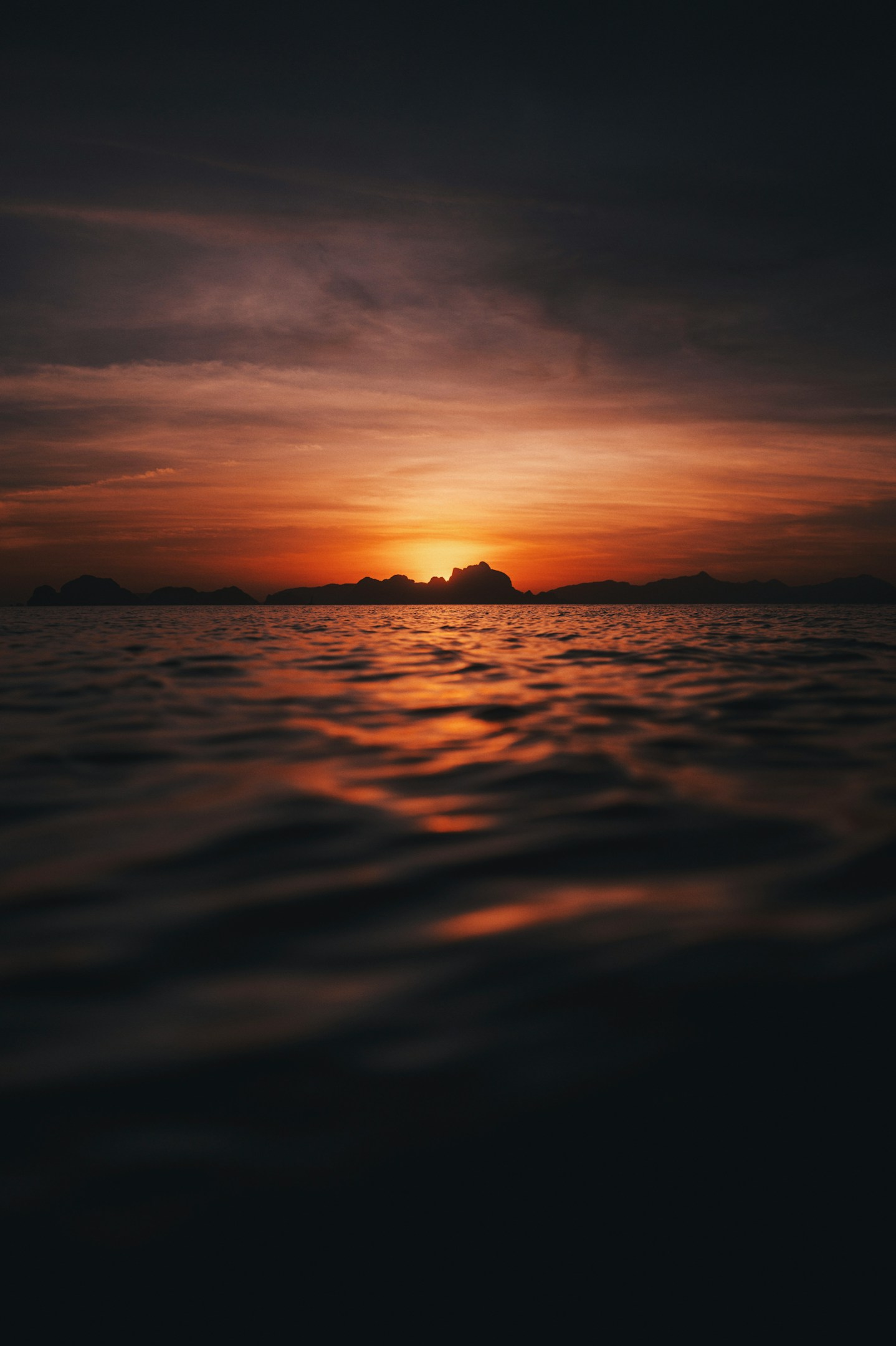 【最後まで諦めず挑戦する団体】ピースウィンズジャパンが目指しているもの