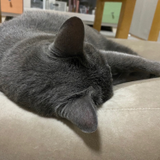 森谷 琴美