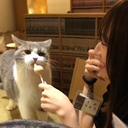 坂本 弓