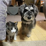 竹之内 ⑦