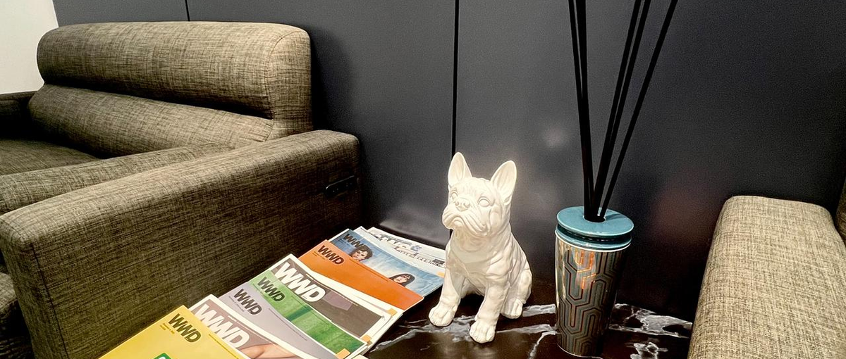 SNS×専門メディアで世界を動かす！次世代PRディレクターとして活躍しよう