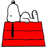 犬田 拓也