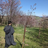 佐藤 萌