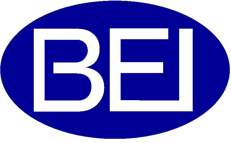 About 株式会社ビーアイ