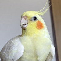 M S