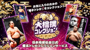 日本相撲協会公式電子トレカ®︎コレクションサービス 大相撲コレクション。第二弾連携として2021年1月よりサービスインしています。