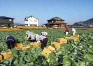 現在は、農業・建設・防災・子ども・福祉・介護・人権など、多岐にわたるテーマで全国の協業プロジェクトを行っています