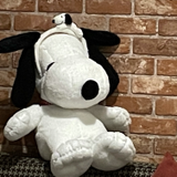 甘利真子
