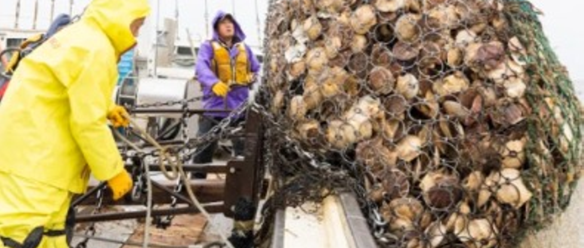 一次産業の人材不足解決　地方創生　スタマーサクセスリーダー候補 ！