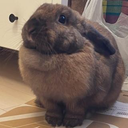 神保 メディアエクシード ねむ