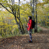 Haruka Tamura