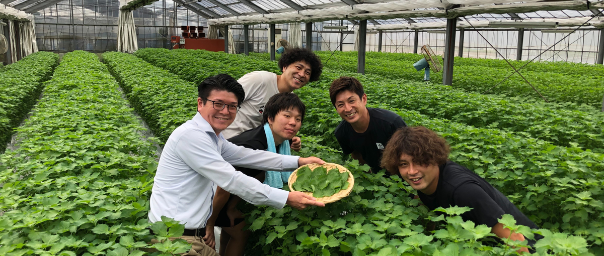 卸売営業｜相場観や交渉力、産地の知識など市場価値の高い専門スキルが身につく