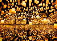 teamLab Borderless Shanghai | Forest of Resonating Lamps