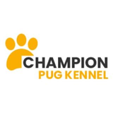 Champion Pug Kennels