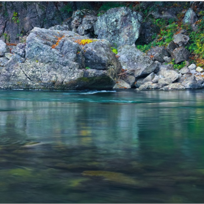 ハダ キョウヘイ