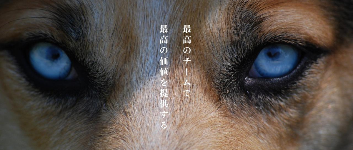 コーダーからWebエンジニアになりたい人を募集！