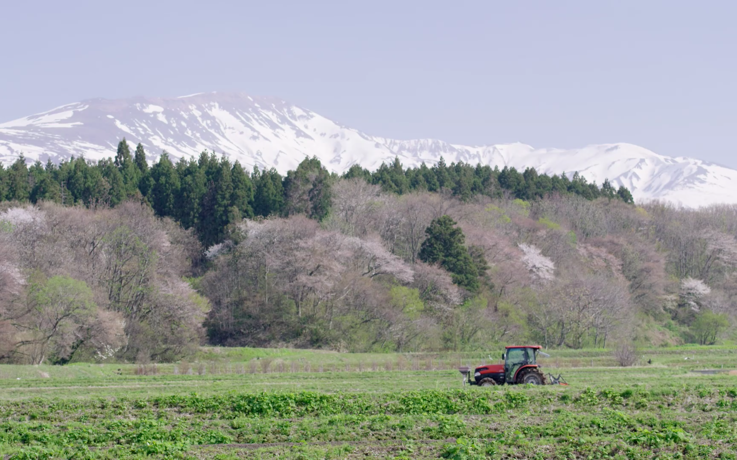 光文社という出版社の企画で、ブログを連載しています。
