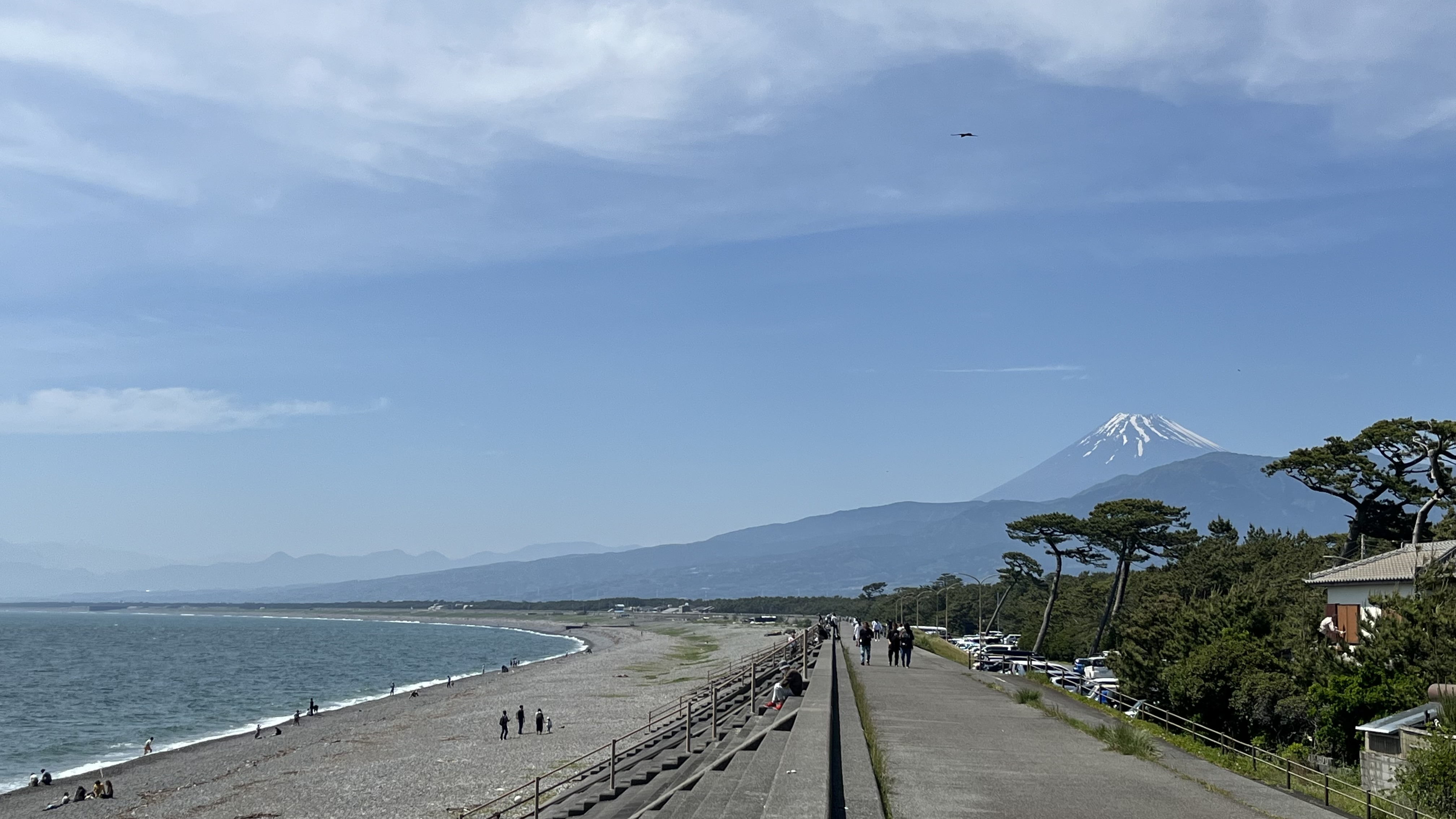 フルリモートで実現できたカジュアルな「地方移住」