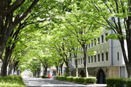 芦屋本社付近の風景