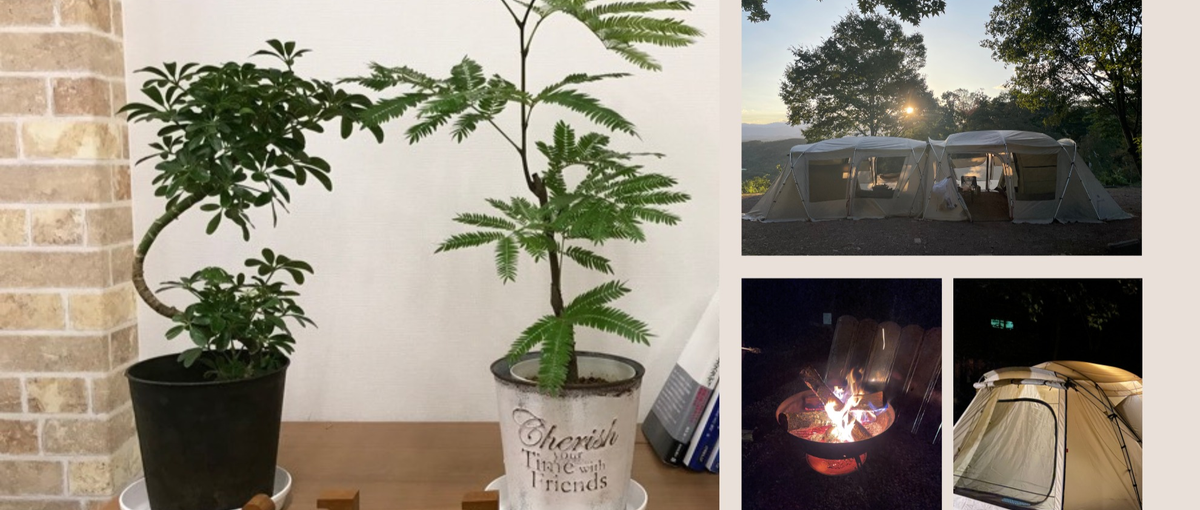 日本の魅力を発信したい！地方創生に興味のある方！SNS運用できる方募集！