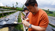 Shot at Huye Mountain Coffee Farm 2019. アフリカ各国を歩き、現地を視察。持続可能なコーヒー栽培の話を聞き、Freewillで出来ることを考える。